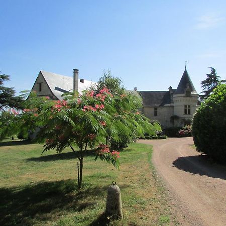 Chateau De La Roche Martel Panzió Roiffé Kültér fotó