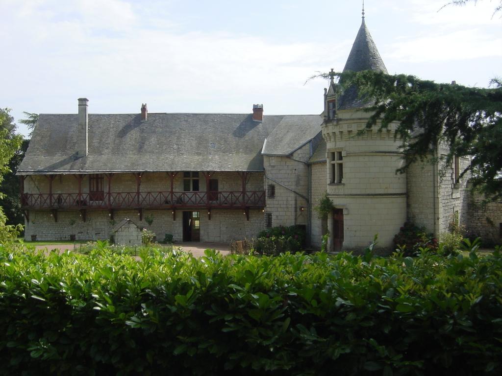 Chateau De La Roche Martel Panzió Roiffé Kültér fotó