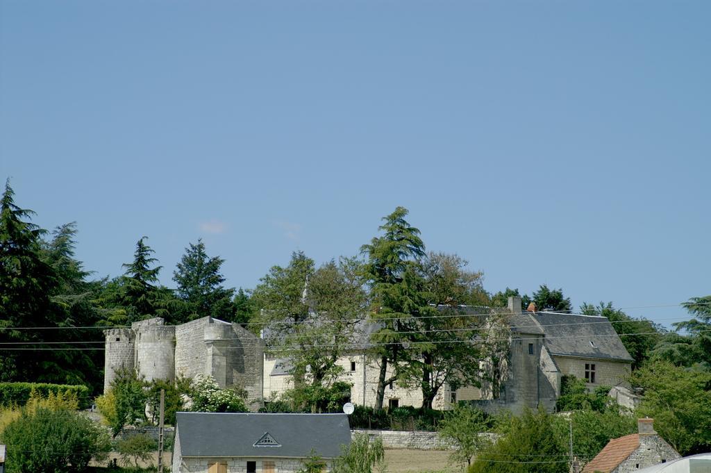 Chateau De La Roche Martel Panzió Roiffé Kültér fotó