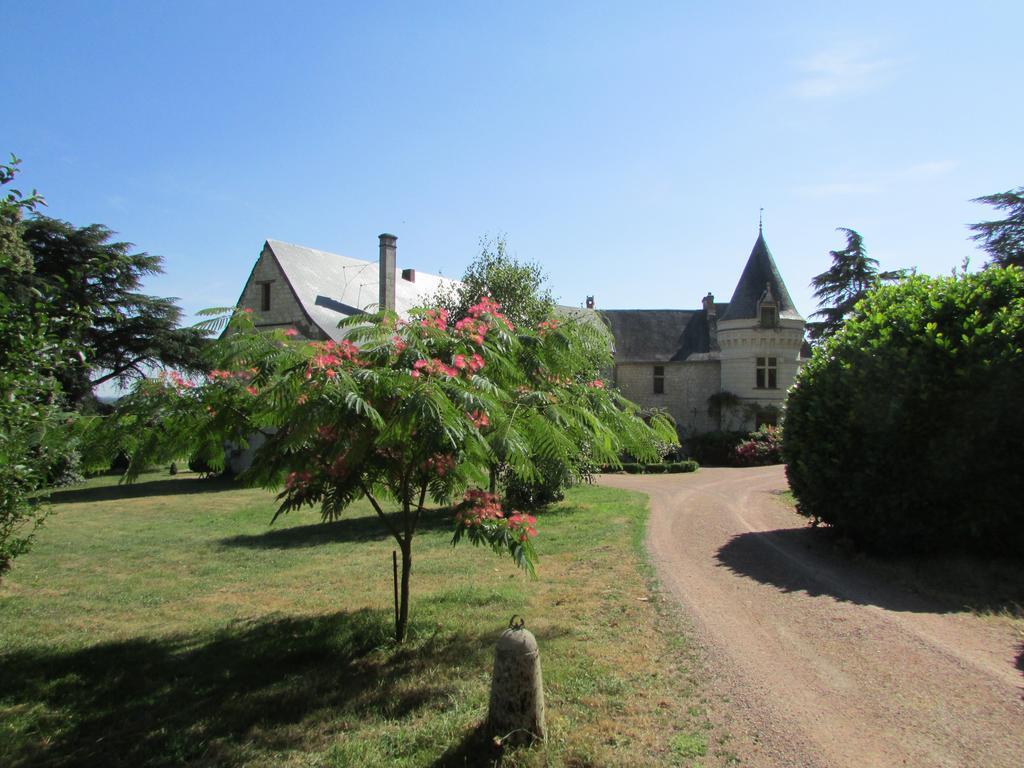 Chateau De La Roche Martel Panzió Roiffé Kültér fotó